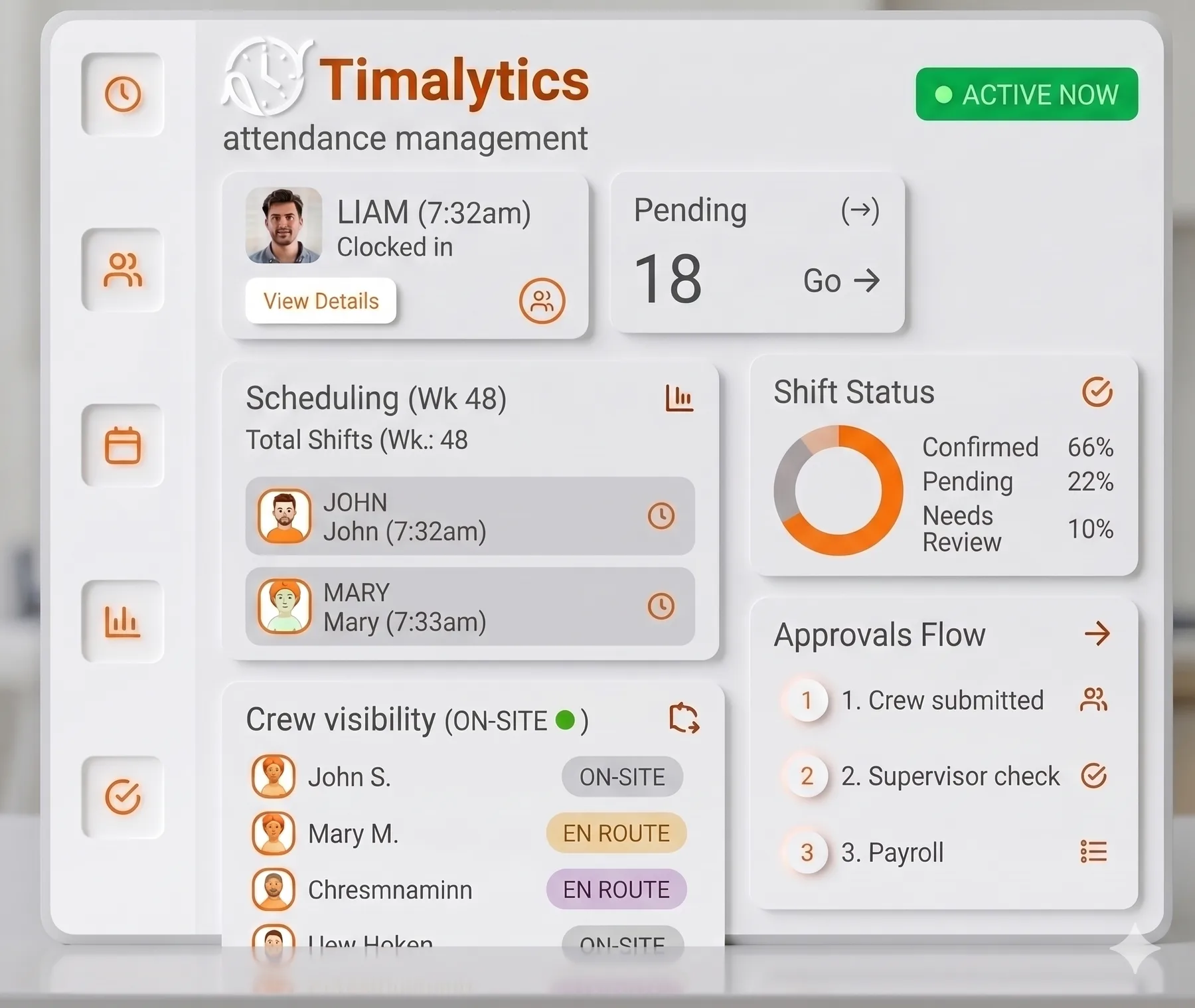 Timlytics interface